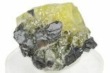 Glassy Yellow Anglesite Crystal on Galena - Morocco #251489-1